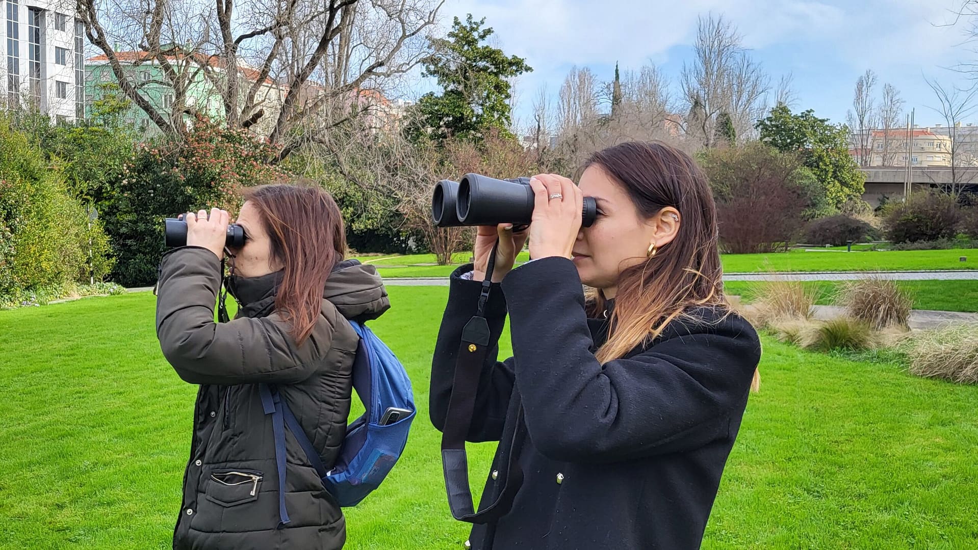 Exploração da natureza – Bioblitz: Aves