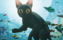 Straume | Flow – À Deriva