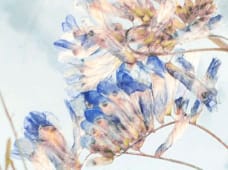 Há vida em Montachique… e não só! – Aguarelas Botânicas