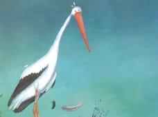 Uma cegonha em apuros