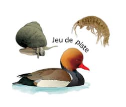 Les aventuriers du Léman