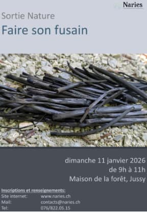 Association NARIES – Sortie Nature: Faire son fusain