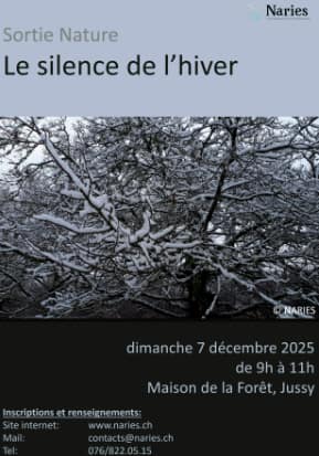 Association NARIES – Sortie Nature: Le silence de l'hiver