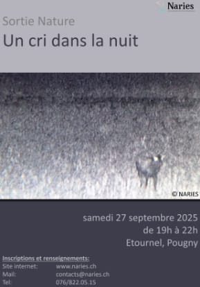 Association NARIES – Sortie Nature: Un cri dans la nuit