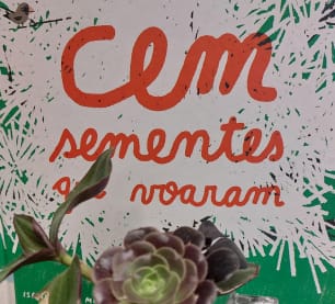 HistĂłrias com raiz