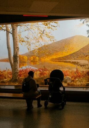 Matinée poussette – Visite famille