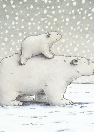 Plume l'ours polaire – Conte musical