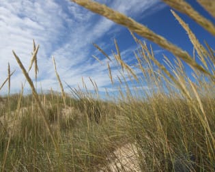 Costa da Caparica ao natural: um passeio além da praia – Visita guiada
