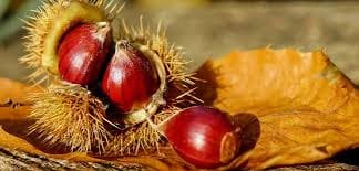 A cozinha é um laboratório – Castanhas quentinhas e boas