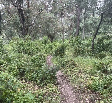 Visita Temática – Mistérios de Monsanto