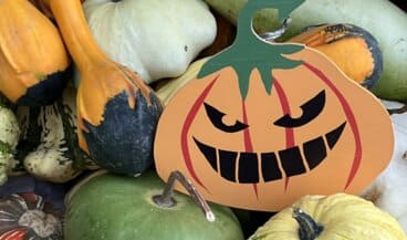 Halloween au chĂąteau