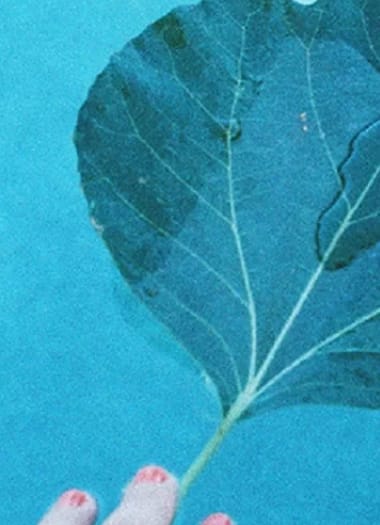 Carpintaria para FamĂlias