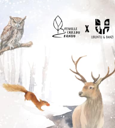 Les Rois de la Forêt – Sortie accompagnée pour petits et grands rêveurs