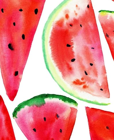 Oficina de «Cartões Postais Suculentos»