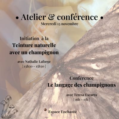 Initiation Ă  la teinture naturelle avec un champignon