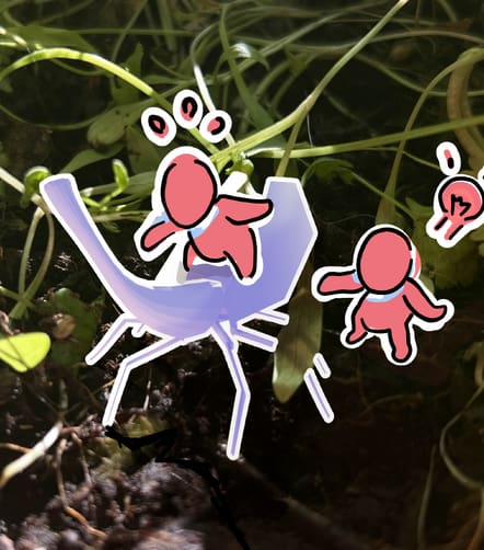 Atelier vivarium fantastique