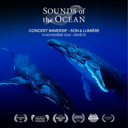 Sounds of the Ocean – Ciné-concert live