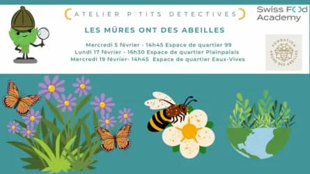 Atelier p'tits détectives – Les mûres ont des abeilles