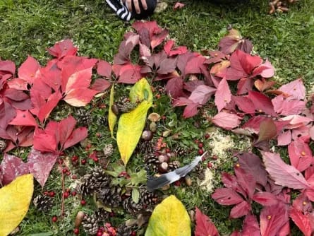 Couleurs d’automne et structures végétales