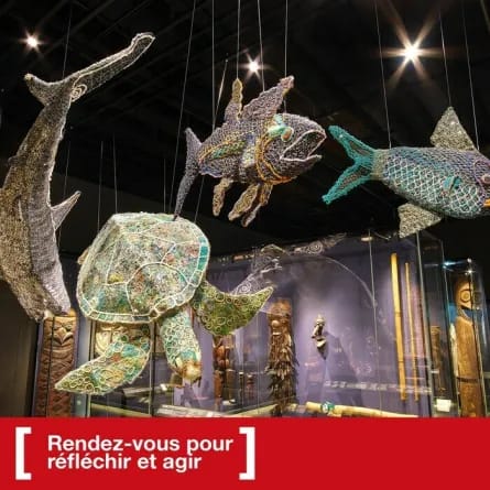 Ghost Nets – Atelier d'observation et création artistique