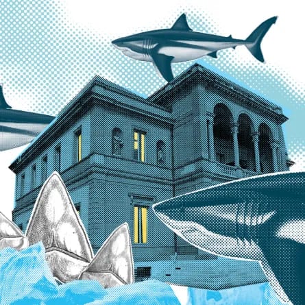Le mégalodon, en voilà un gros poisson!