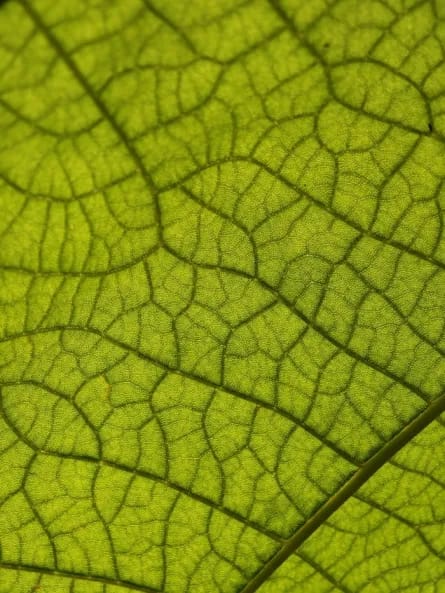 Des couleurs dans l’éprouvette