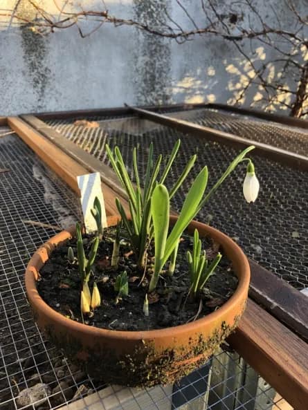 Viens jardiner avec nous