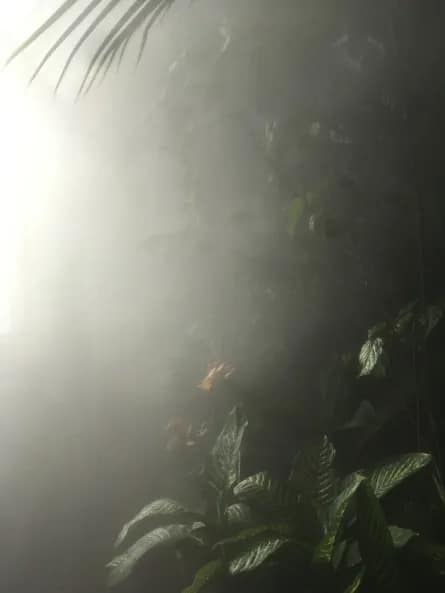 Visite parapluie