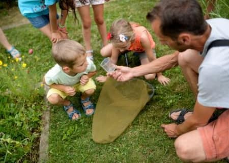 Chasse aux insectes pour les petits
