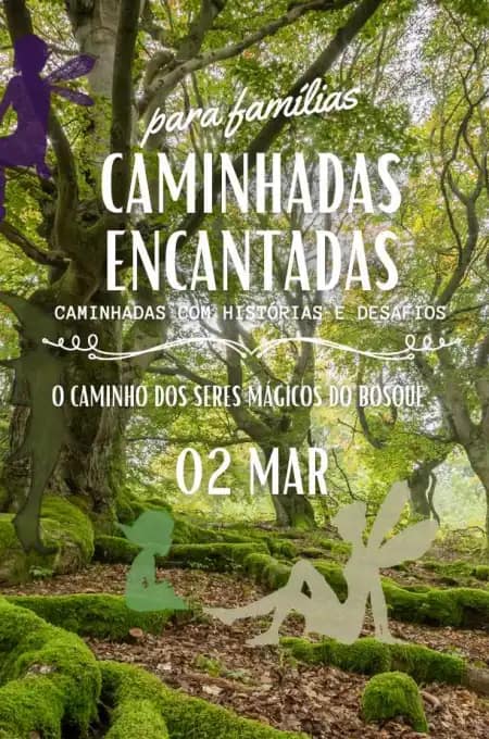 Caminhadas Encantadas – O Caminho dos Seres Mágicos do Bosque