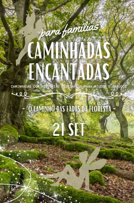 Caminhadas Encantadas – O Caminho das Fadas da Floresta