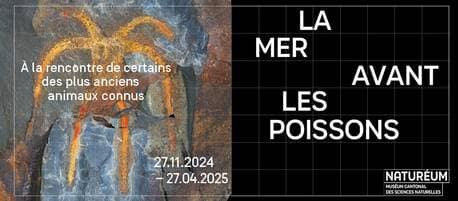 Atelier famille – Plongée avec les trilobites