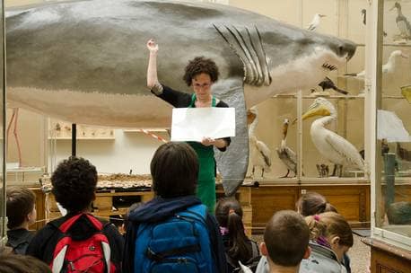 Atelier Petits pas au Naturéum
