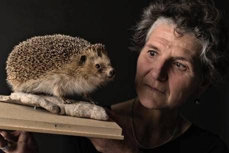 Soirée au Musée – Spectacle «Le taxidermiste»