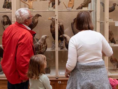 Samedi animalier – Visite thématique