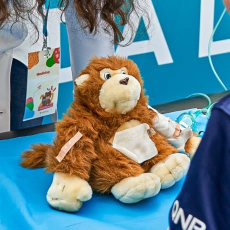 Hospital da Bonecada