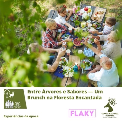 Entre Ărvores e Sabores â Um Brunch na Floresta Encantada