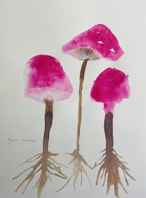 Champignons à l’aquarelle et à l’encre