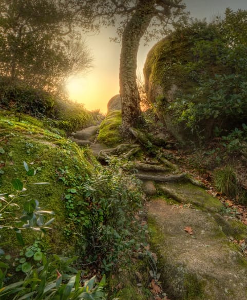 A Floresta dos Frades