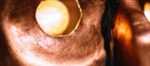 D. Quixote, o destemido – Manhã Criativa