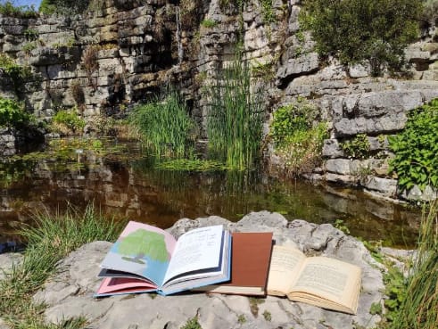 Lectures au Jardin botanique! – Des histoires à écouter les mercredis pendant l’été