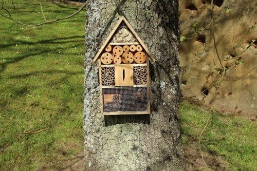 Les petits experts – Accueillir la nature chez soi