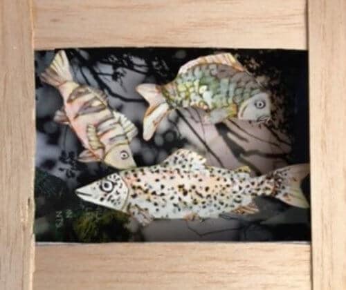 Les Mercredis du Léman – Aquarium recyclé