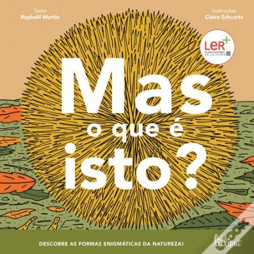 A ler é que a gente se entende: «Mas o que é isto?» – Raphael Martin