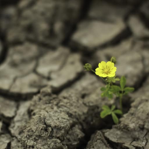 Atelier philo autour du climat