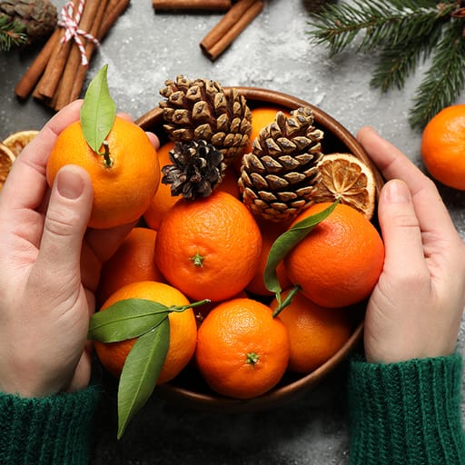 Tout sur Noël!