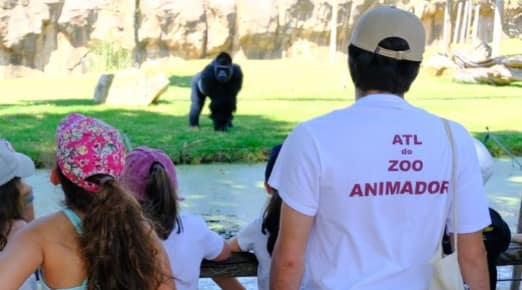 Jardim Zoológico – ATL do Zoo (6 aos 16 anos)