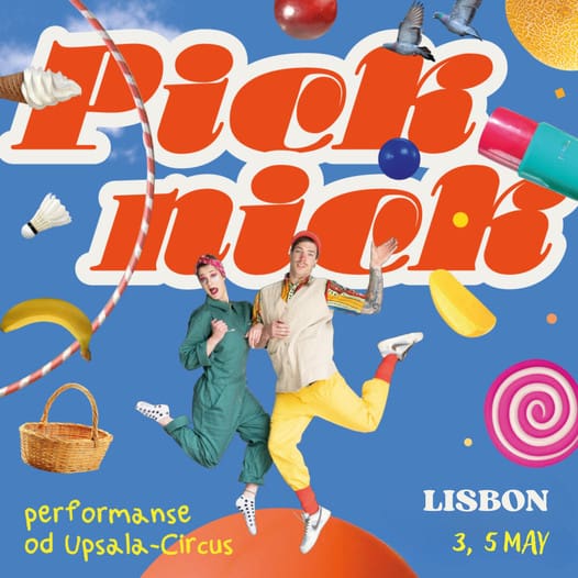 Picknick – Сircus performance for the whole family
