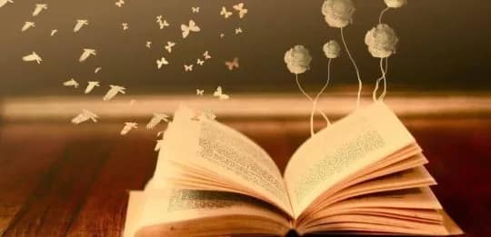 Les livres en fĂŞte!