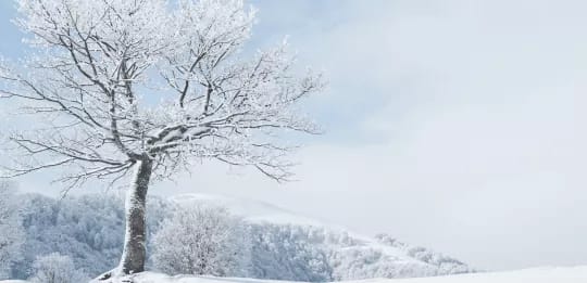 Mercredis du conte – «D’hiver et de neige»